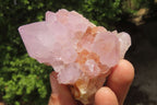 Natural Ametrine Spirit Quartz Clusters x 6 From Boekenhouthoek, South Africa - Toprock Gemstones and Minerals 
