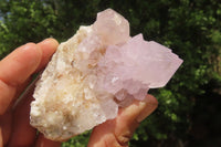 Natural Ametrine Spirit Quartz Clusters x 6 From Boekenhouthoek, South Africa