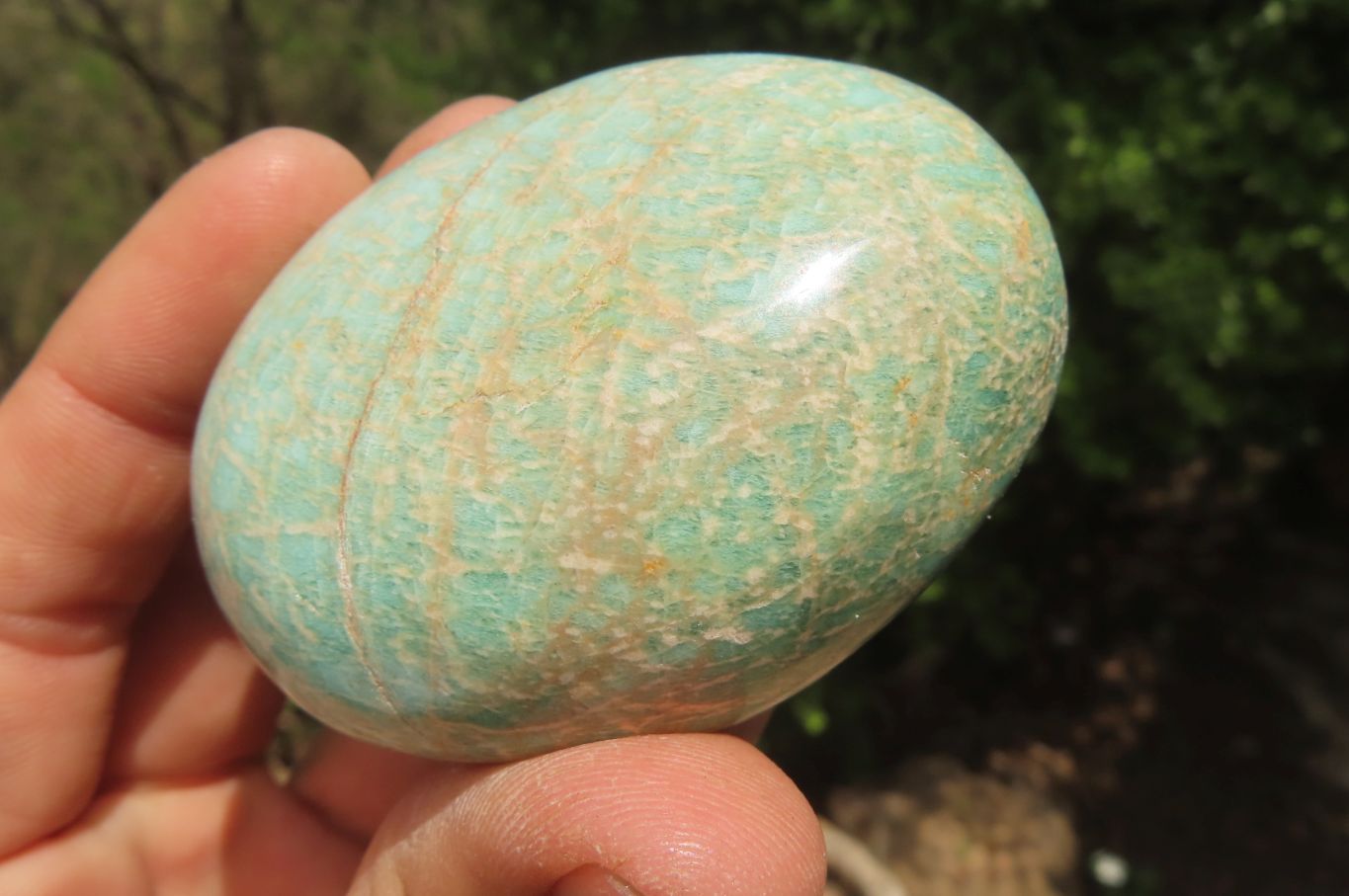 Polished Amazonite Palm Stones x 15 from Zimbabwe - Toprock Gemstones and Minerals 