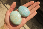 Polished Amazonite Palm Stones x 15 from Zimbabwe - Toprock Gemstones and Minerals 