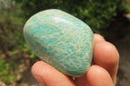 Polished Amazonite Palm Stones x 15 from Zimbabwe - Toprock Gemstones and Minerals 