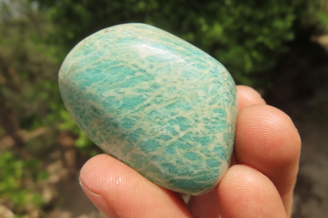Polished Amazonite Palm Stones x 15 from Zimbabwe - Toprock Gemstones and Minerals 