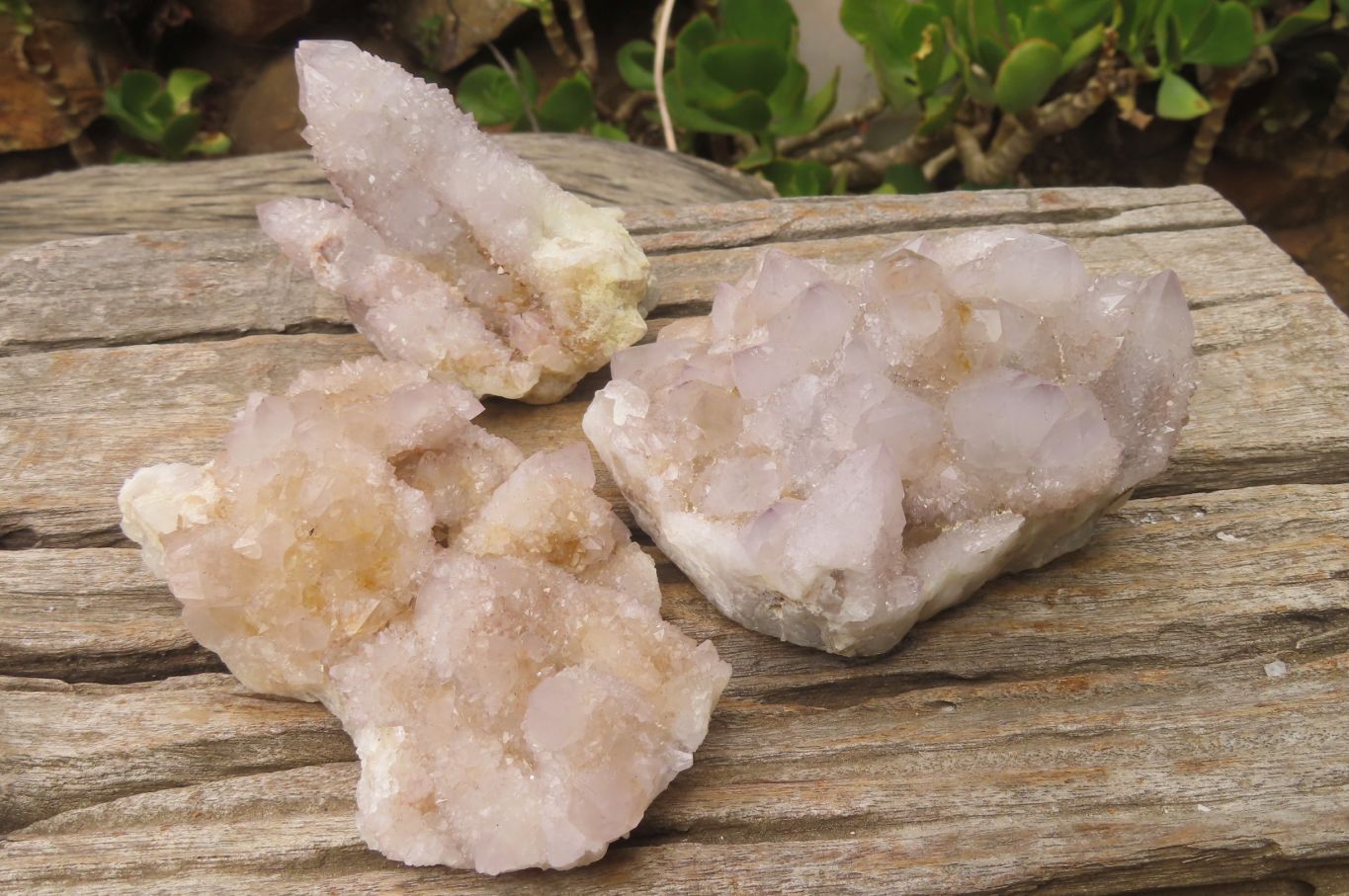 Natural Spirit Quartz Clusters x 3 From Boekenhouthoek, South Africa - Toprock Gemstones and Minerals 