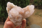 Natural Spirit Quartz Clusters x 3 From Boekenhouthoek, South Africa - Toprock Gemstones and Minerals 