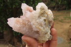 Natural Spirit Quartz Clusters x 3 From Boekenhouthoek, South Africa - Toprock Gemstones and Minerals 