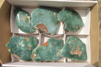 Polished On One Side Emerald Mtorolite Plates x 6 From Mutorashanga, Zimbabwe - Toprock Gemstones and Minerals 