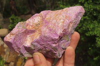 Natural Stichtite Cobbed Specimens x 4 From Barberton, South Africa - Toprock Gemstones and Minerals 
