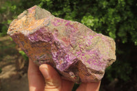 Natural Stichtite Cobbed Specimens x 4 From Barberton, South Africa - Toprock Gemstones and Minerals 
