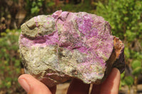 Natural Stichtite Cobbed Specimens x 4 From Barberton, South Africa - Toprock Gemstones and Minerals 