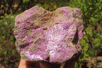 Natural Stichtite Cobbed Specimens x 4 From Barberton, South Africa - Toprock Gemstones and Minerals 