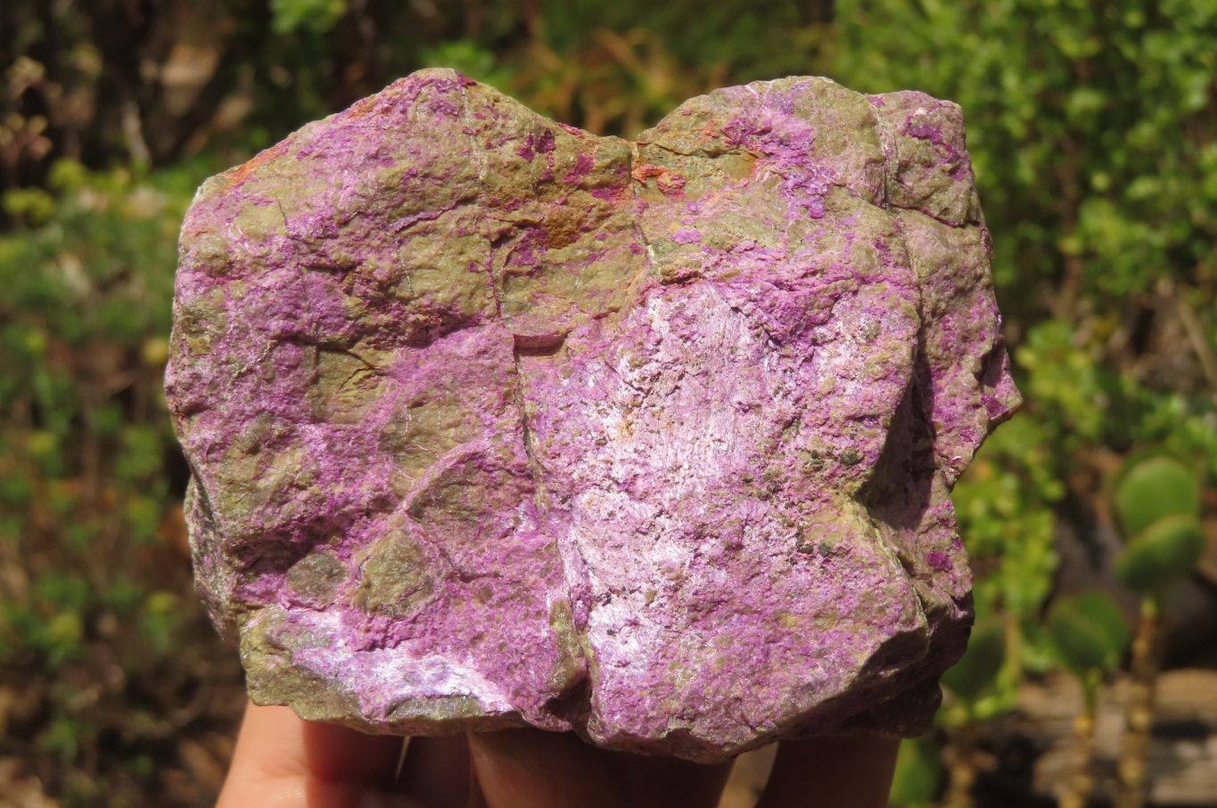 Natural Stichtite Cobbed Specimens x 4 From Barberton, South Africa - Toprock Gemstones and Minerals 