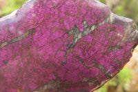 Polished On One Side Metallic Purpurite Specimens x 3 From Namibia - Toprock Gemstones and Minerals 