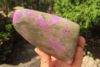 Polished Stichtite Standing Free Forms x 2 From Barberton, South Africa - Toprock Gemstones and Minerals 
