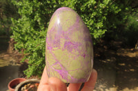 Polished Stichtite Standing Free Forms x 2 From Barberton, South Africa - Toprock Gemstones and Minerals 