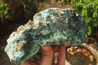 Natural Drusy Chrysocolla Dolomite Pseudomorph Specimen x 1 From Congo - Toprock Gemstones and Minerals 