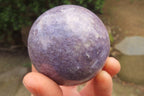 Polished Lepidolite Spheres x 6 From Ambatondrazaka, Madagascar - Toprock Gemstones and Minerals 