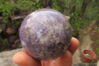 Polished Lepidolite Spheres x 6 From Ambatondrazaka, Madagascar - Toprock Gemstones and Minerals 