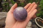 Polished Lepidolite Spheres x 6 From Ambatondrazaka, Madagascar - Toprock Gemstones and Minerals 