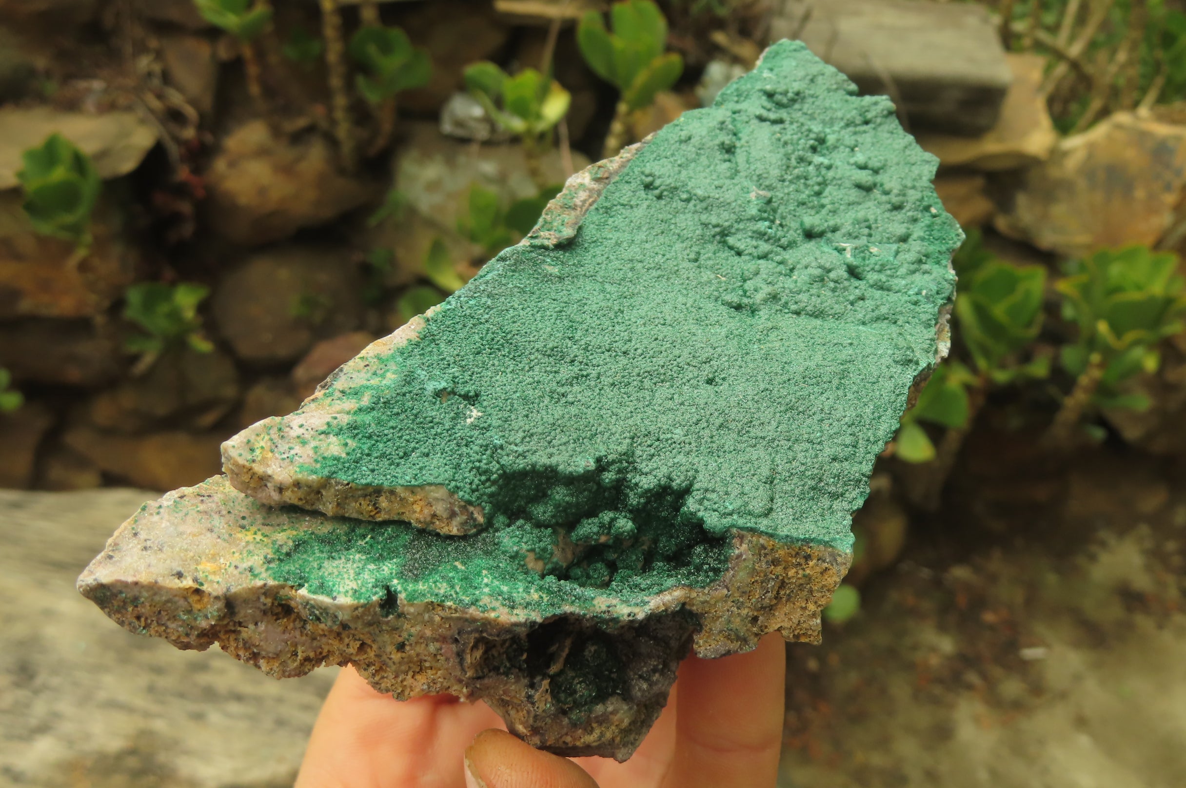 Natural Botryoidal Specimens x 4 From Kolwezi, Congo - Toprock Gemstones and Minerals 