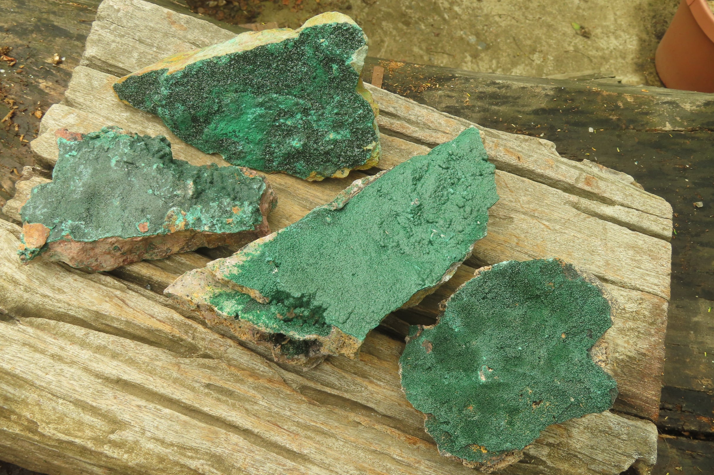 Natural Botryoidal Specimens x 4 From Kolwezi, Congo - Toprock Gemstones and Minerals 