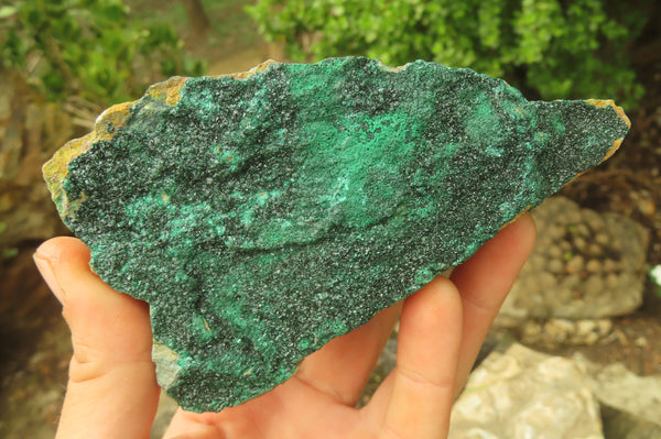 Natural Botryoidal Specimens x 4 From Kolwezi, Congo - Toprock Gemstones and Minerals 