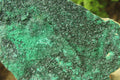 Natural Botryoidal Specimens x 4 From Kolwezi, Congo - Toprock Gemstones and Minerals 