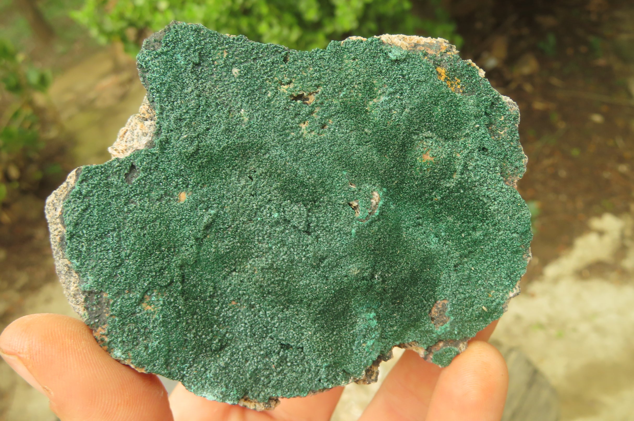 Natural Botryoidal Specimens x 4 From Kolwezi, Congo - Toprock Gemstones and Minerals 