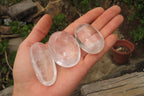 Polished Clear Quartz Palm Stones x 35 From Madagascar - Toprock Gemstones and Minerals 