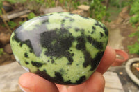 Polished Leopard Stone Free Forms x 6 From Nyanga, Zimbabwe - Toprock Gemstones and Minerals 