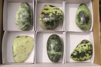 Polished Leopard Stone Free Forms x 6 From Nyanga, Zimbabwe - Toprock Gemstones and Minerals 