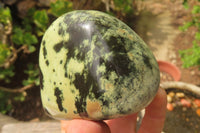 Polished Leopard Stone Free Forms x 6 From Nyanga, Zimbabwe - Toprock Gemstones and Minerals 
