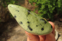 Polished Leopard Stone Free Forms x 6 From Nyanga, Zimbabwe - Toprock Gemstones and Minerals 