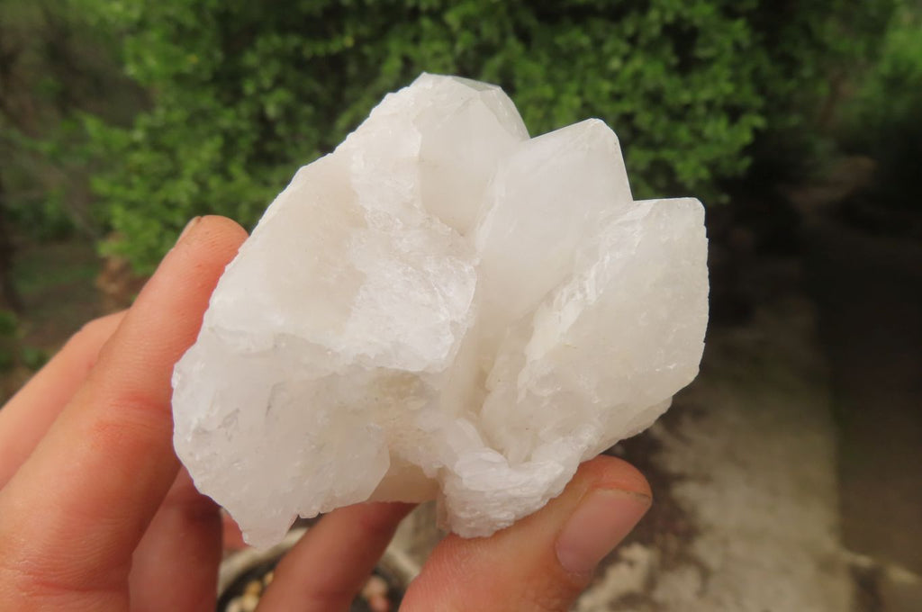 Natural Clear Quartz Clusters x 6 From Madagascar - Toprock Gemstones and Minerals 