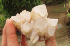 Natural Clear Quartz Clusters x 6 From Madagascar - Toprock Gemstones and Minerals 