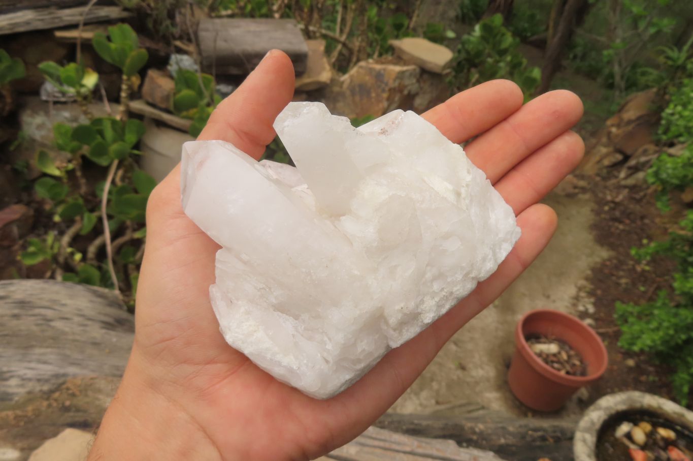 Natural Clear Quartz Clusters x 6 From Madagascar - Toprock Gemstones and Minerals 