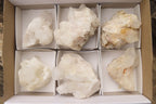 Natural Clear Quartz Clusters x 6 From Madagascar - Toprock Gemstones and Minerals 