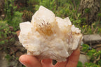 Natural Clear Quartz Clusters x 6 From Madagascar - Toprock Gemstones and Minerals 