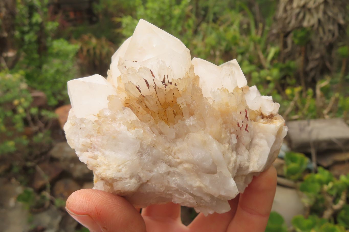 Natural Clear Quartz Clusters x 6 From Madagascar - Toprock Gemstones and Minerals 