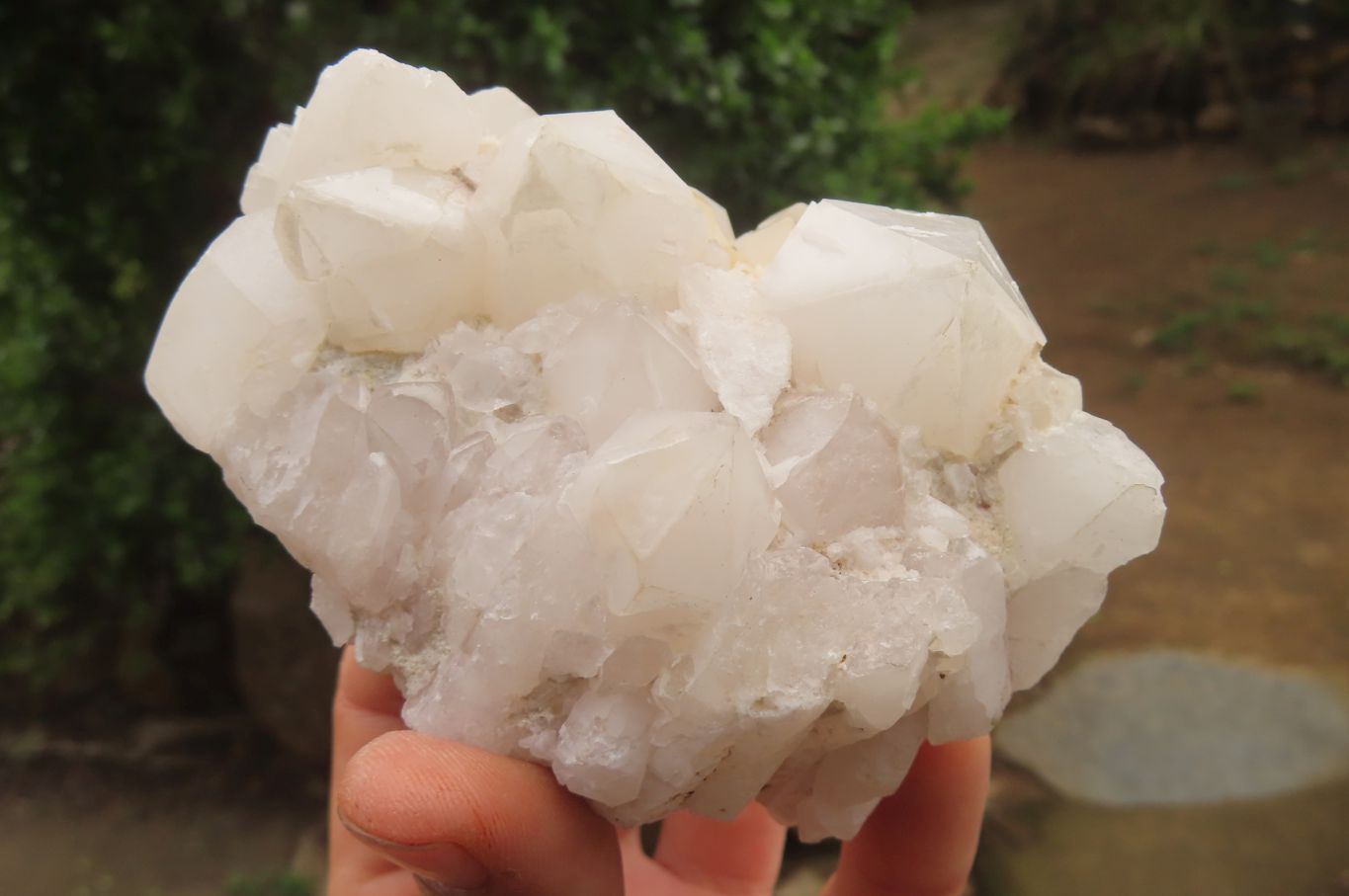 Natural Clear Quartz Clusters x 6 From Madagascar - Toprock Gemstones and Minerals 