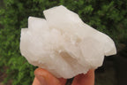 Natural Clear Quartz Clusters x 6 From Madagascar - Toprock Gemstones and Minerals 