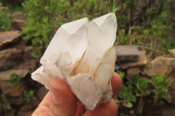 Natural Clear Quartz Clusters x 6 From Madagascar - Toprock Gemstones and Minerals 
