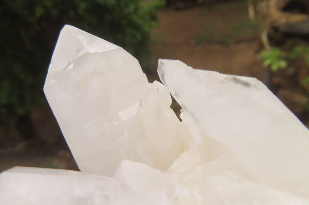 Natural Clear Quartz Clusters x 6 From Madagascar - Toprock Gemstones and Minerals 