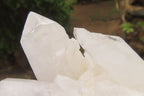 Natural Clear Quartz Clusters x 6 From Madagascar - Toprock Gemstones and Minerals 