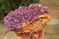 Natural Amethystos Amethyst Specimens x 5 From Kwaggafontein, South Africa - Toprock Gemstones and Minerals 
