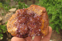 Natural Amethystos Amethyst Specimens x 5 From Kwaggafontein, South Africa - Toprock Gemstones and Minerals 