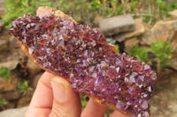 Natural Amethystos Amethyst Specimens x 5 From Kwaggafontein, South Africa - Toprock Gemstones and Minerals 