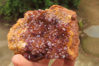 Natural Amethystos Amethyst Specimens x 5 From Kwaggafontein, South Africa - Toprock Gemstones and Minerals 