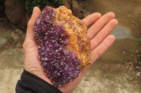 Natural Amethystos Amethyst Specimens x 5 From Kwaggafontein, South Africa - Toprock Gemstones and Minerals 