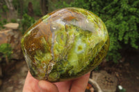 Polished Green Opal Standing Free Forms x 2 From Antsirabe, Madagascar - Toprock Gemstones and Minerals 