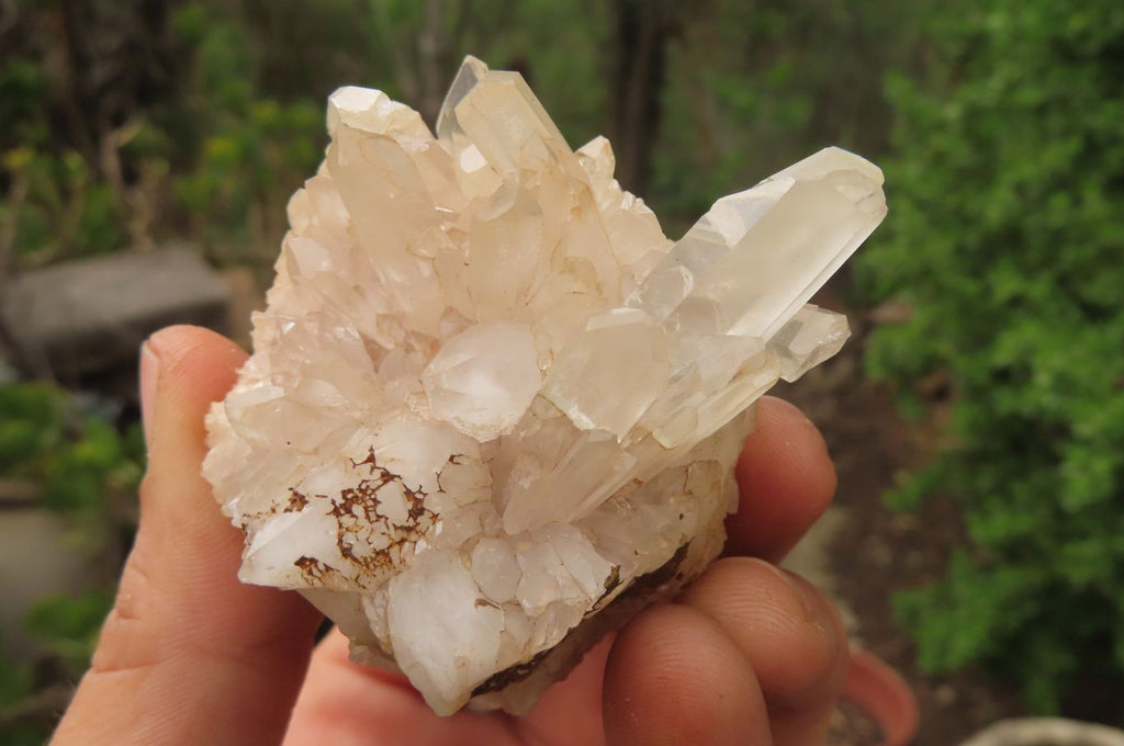 Natural Clear Quartz Clusters x 35 From Madagascar - Toprock Gemstones and Minerals 